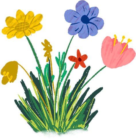 Story Book Meadow Flowers