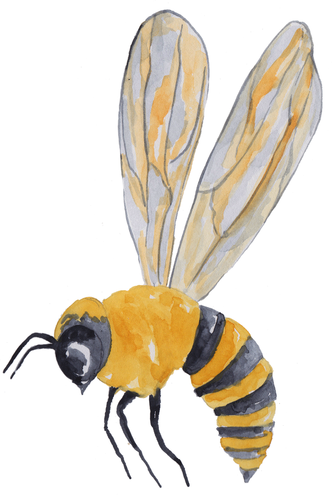 Bee